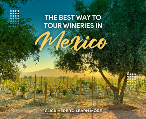 The Best Way to Tour Wineries in Mexico